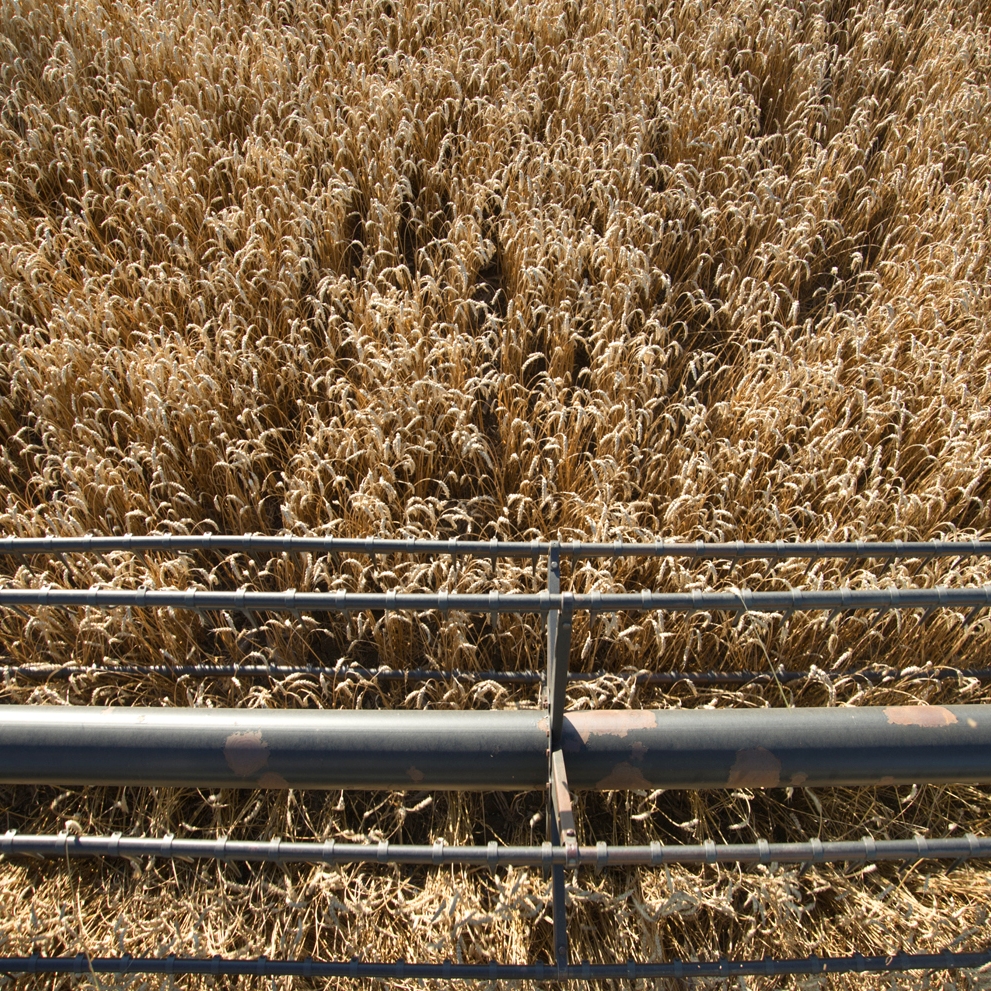 Find funding opportunities for climate-smart agriculture