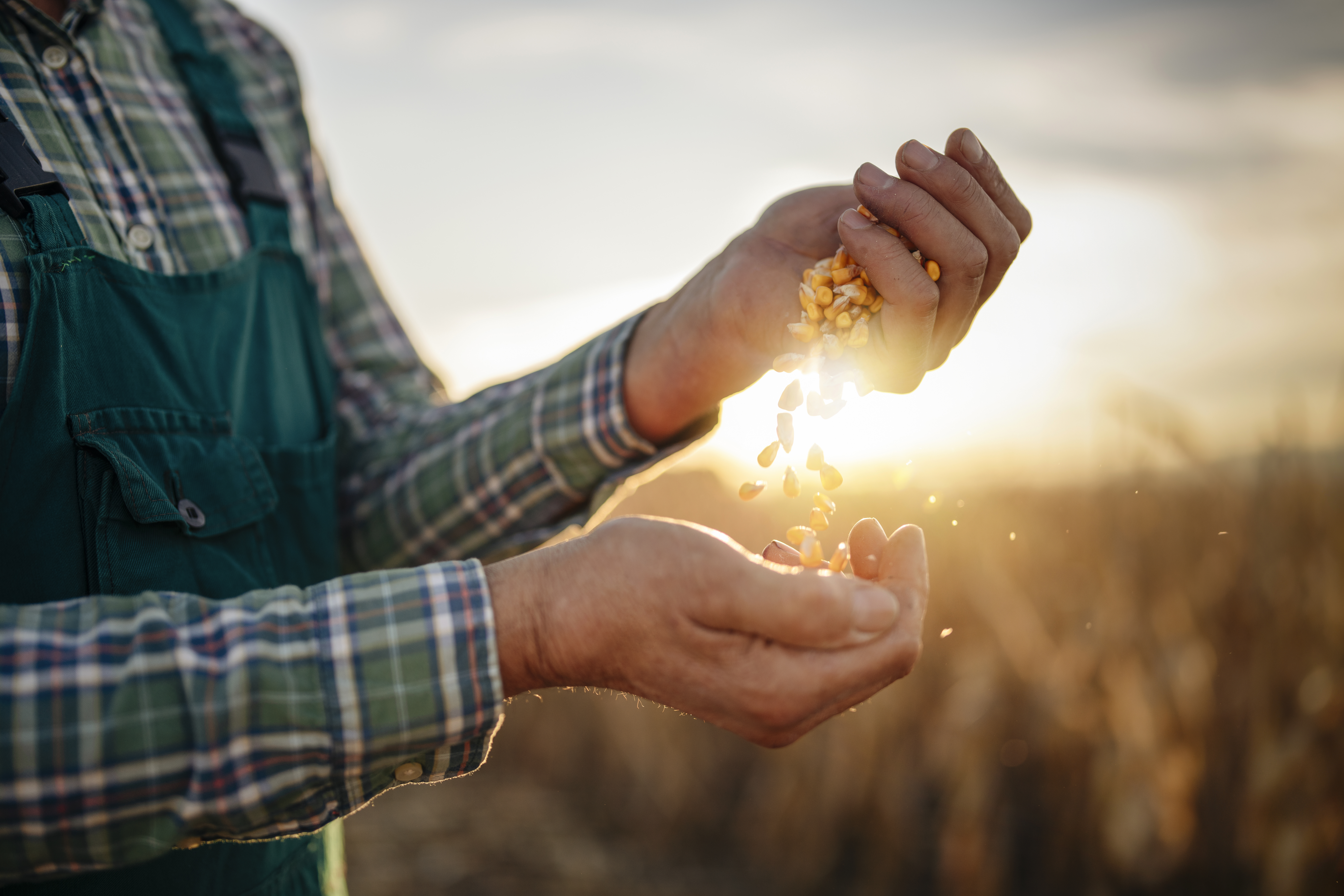 CANZA’s Million Acre Challenge Program Guidebook for Cohort 1